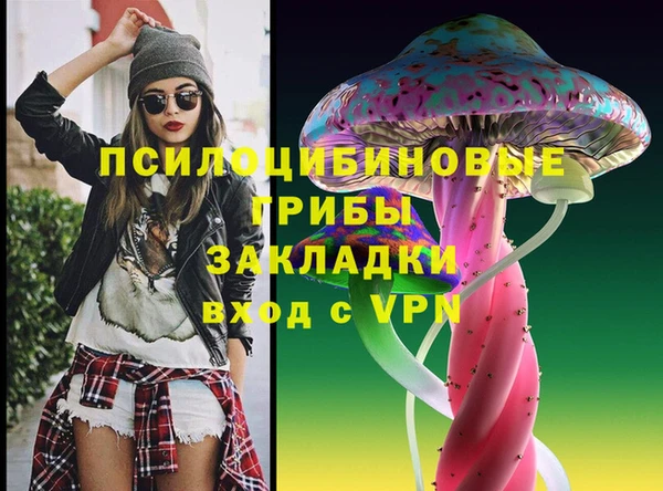 мяу мяу кристалл Гусь-Хрустальный
