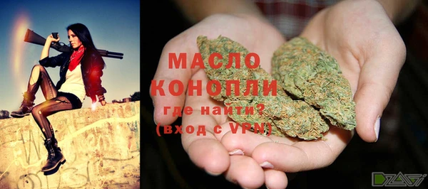 мяу мяу кристалл Гусь-Хрустальный
