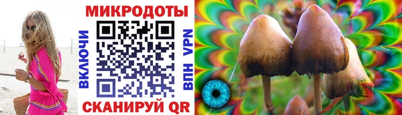 Купить закладки  Шатура  Псилоцибиновые грибы Cubensis 