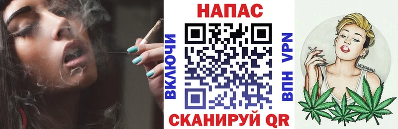 МАРИХУАНА план  Купить закладки  Шатура 